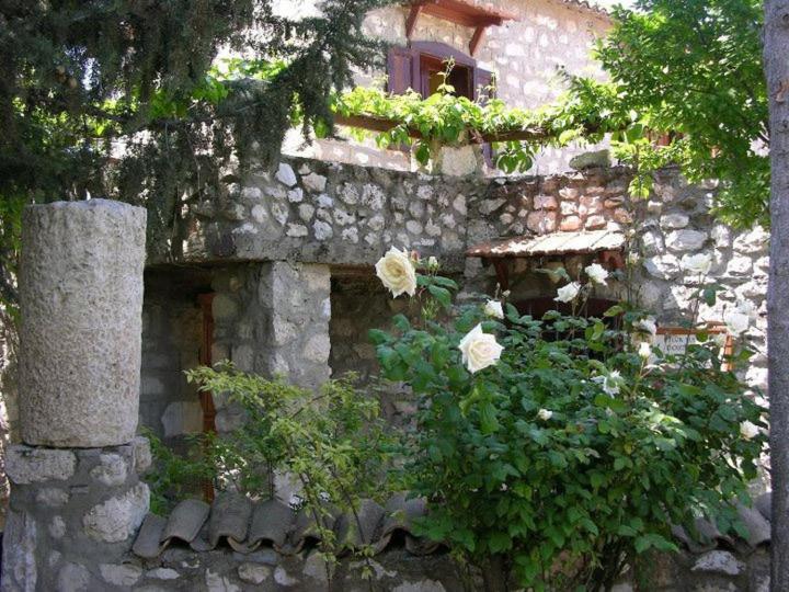 Medusa House Butik Hotel Didim Esterno foto