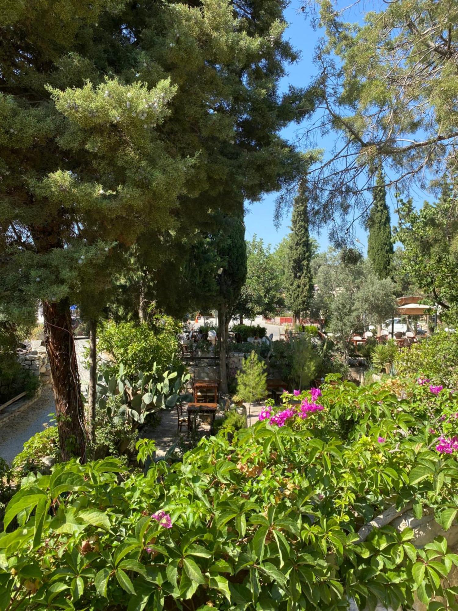 Medusa House Butik Hotel Didim Esterno foto